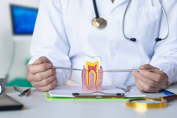 Best Emergency TMJ Treatment in York, PA
